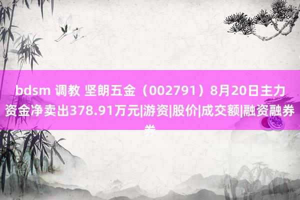 bdsm 调教 坚朗五金（002791）8月20日主力资金净卖出378.91万元|游资|股价|成交额|融资融券