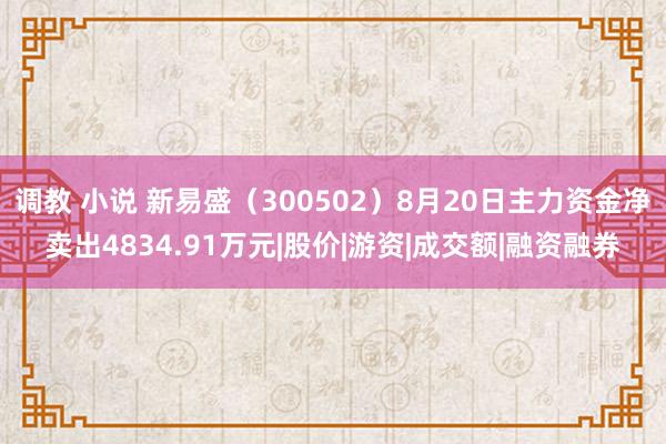 调教 小说 新易盛（300502）8月20日主力资金净卖出4834.91万元|股价|游资|成交额|融资融券