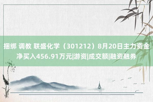 捆绑 调教 联盛化学（301212）8月20日主力资金净买入456.91万元|游资|成交额|融资融券