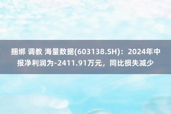 捆绑 调教 海量数据(603138.SH)：2024年中报净利润为-2411.91万元，同比损失减少