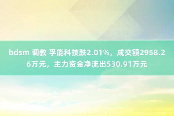 bdsm 调教 孚能科技跌2.01%，成交额2958.26万元，主力资金净流出530.91万元