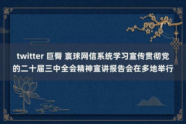 twitter 巨臀 寰球网信系统学习宣传贯彻党的二十届三中全会精神宣讲报告会在多地举行