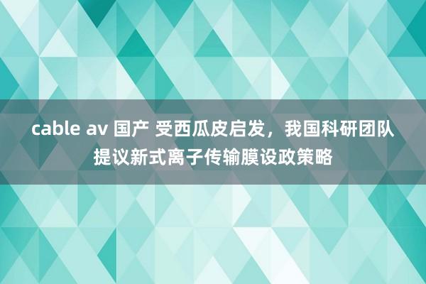 cable av 国产 受西瓜皮启发，我国科研团队提议新式离子传输膜设政策略