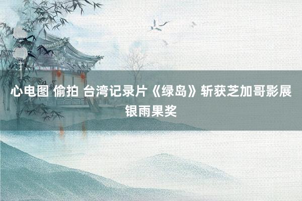 心电图 偷拍 台湾记录片《绿岛》斩获芝加哥影展银雨果奖