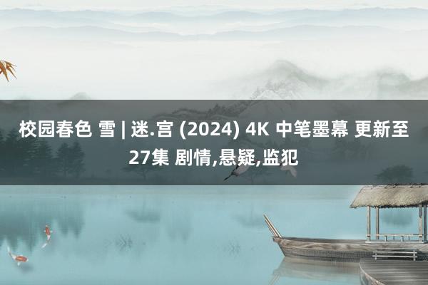 校园春色 雪 | 迷.宫 (2024) 4K 中笔墨幕 更新至27集 剧情，悬疑，监犯