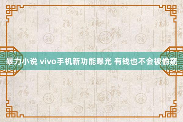 暴力小说 vivo手机新功能曝光 有钱也不会被偷窥